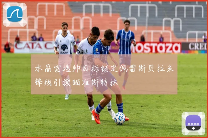 水晶宫选帅目标锁定佩雷斯贝拉米锋线引援瞄准斯特林