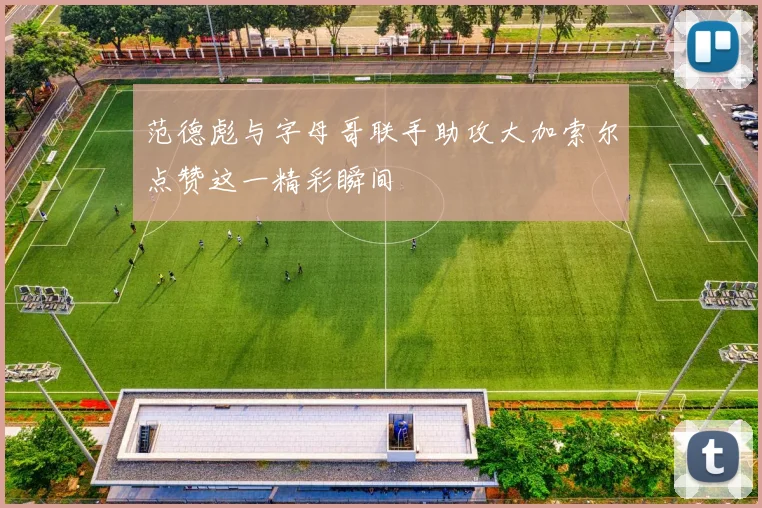 范德彪与字母哥联手助攻大加索尔点赞这一精彩瞬间