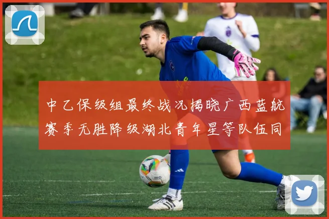 中乙保级组最终战况揭晓广西蓝航赛季无胜降级湖北青年星等队伍同遭降级