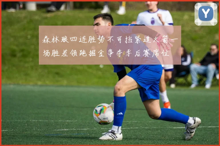 森林狼四连胜势不可挡紧追火箭一场胜差领跑掘金争夺季后赛席位
