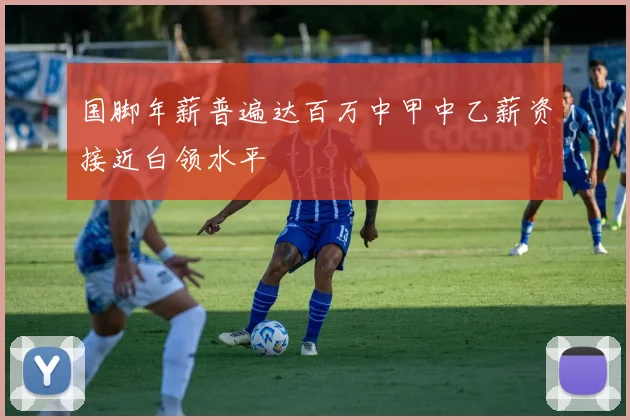 国脚年薪普遍达百万中甲中乙薪资接近白领水平