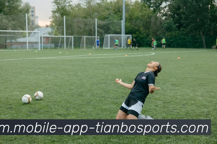 天博体育平台生态图