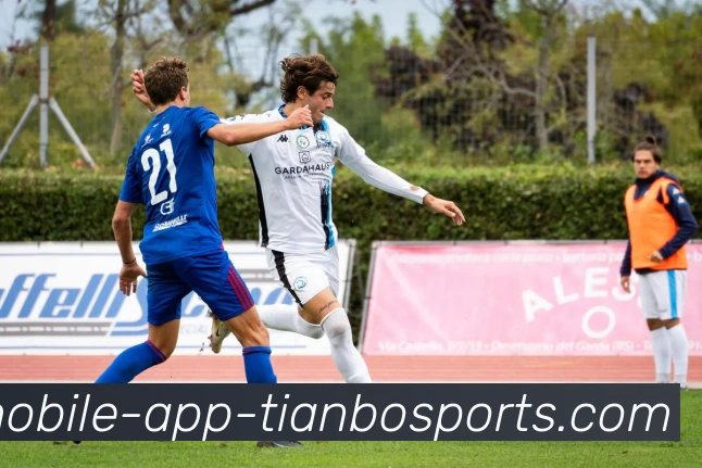 天博体育全站App